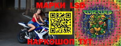 кокс Нальчик