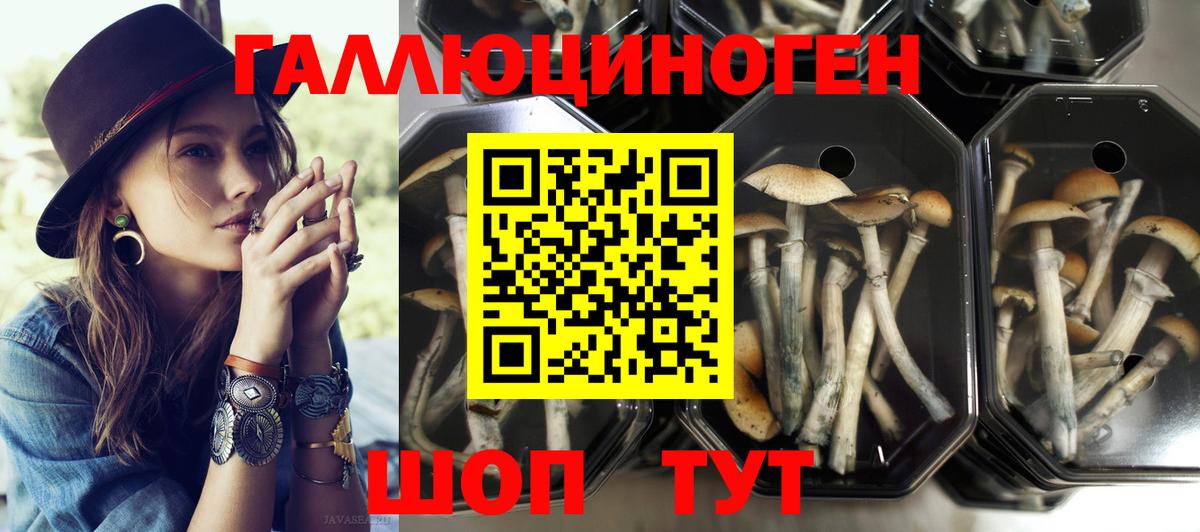 Озёры  Псилоцибиновые грибы MAGIC MUSHROOMS  Галлюциногенные грибы Psilocybe  Вход с VPN 