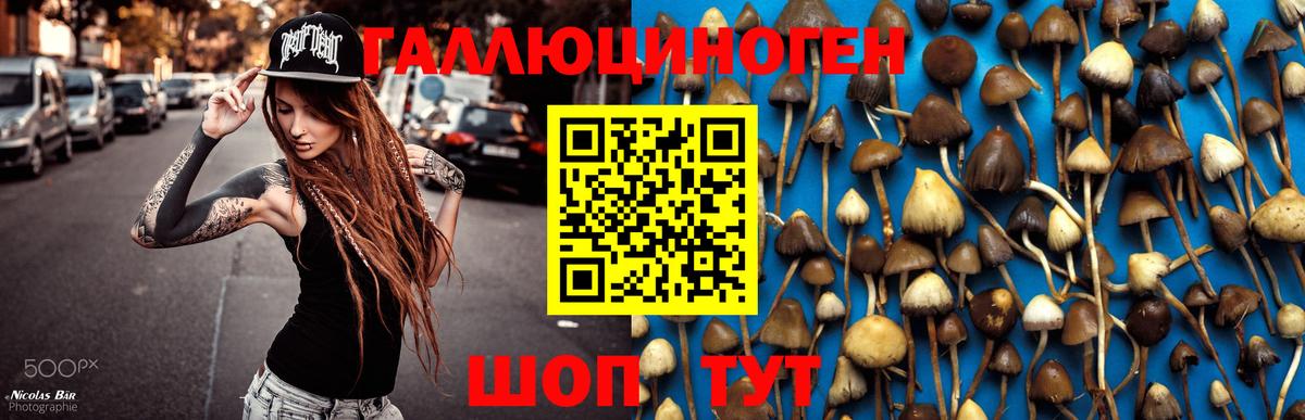 Галлюциногенные грибы Magic Shrooms Озёры